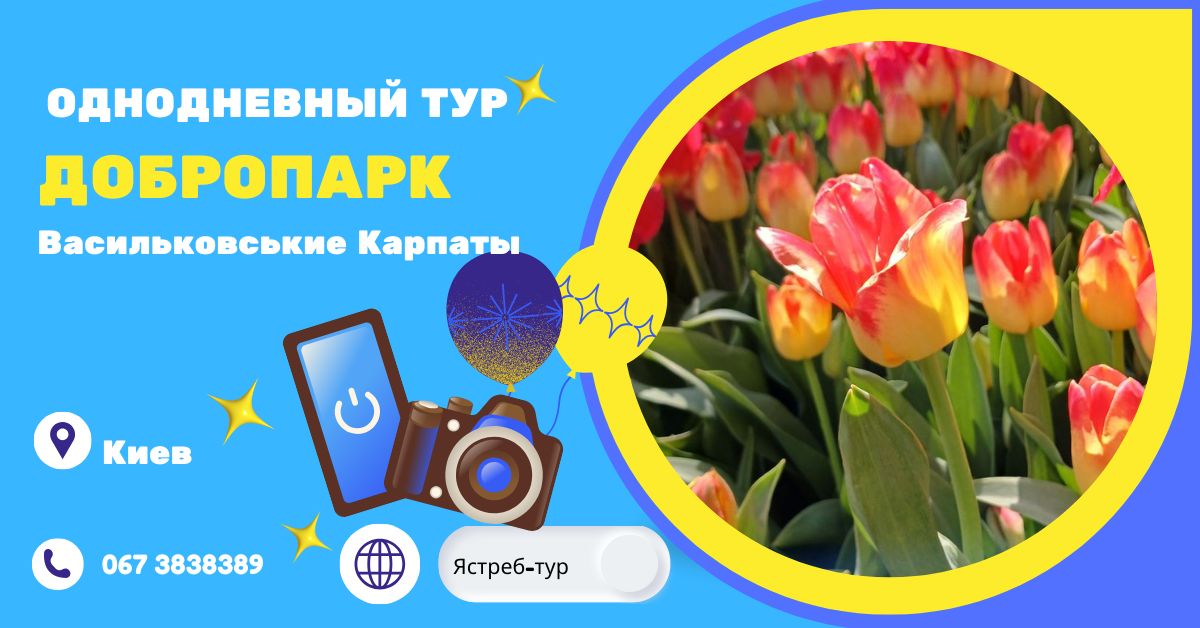 Цветочные поля Добропарка, Васильковские Карпаты, отдых на природе