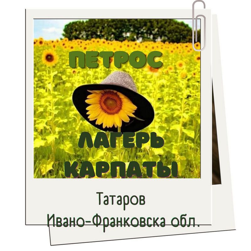 Детский лагерь "Петрос" в Карпатах (Татаров) - активный отдых для детей 8-16 лет: походы, природа, новые друзья, 4-разовое питание и безопасность 24/7.