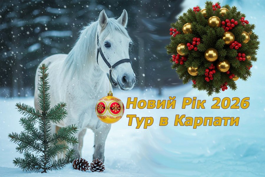 Новий рік в Карпатах 2026