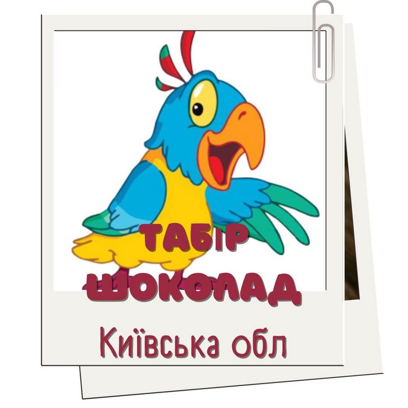 Дитячий табір Шоколад в Мироцькому | Путівки в лісовий табір
