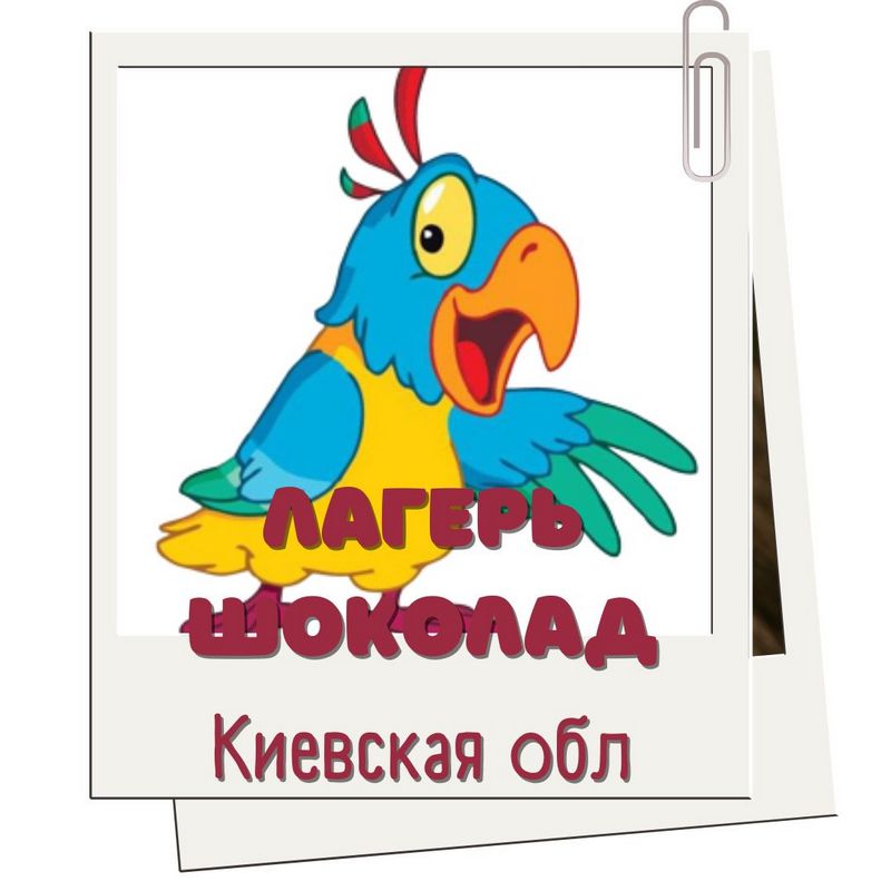 Детский лагерь Шоколад в Мироцком | Путевки в лесной лагерь