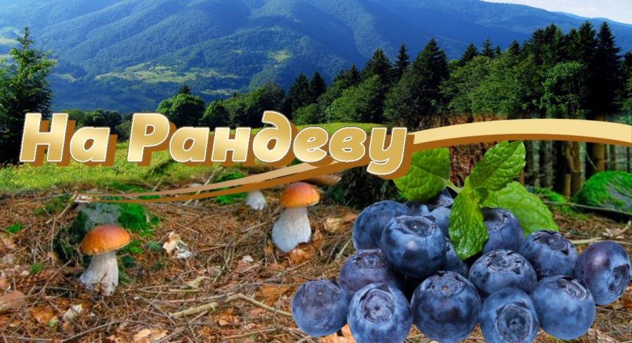 Екскурсія в Карпати