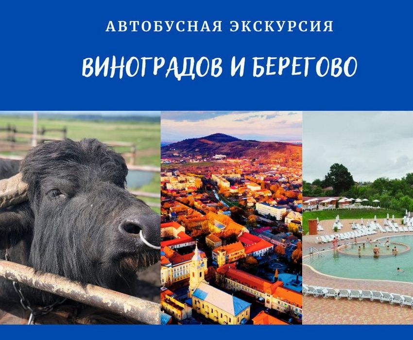 Экскурсия в Берегово и Виноградов из Мукачево — термальные бассейны, вина, история Закарпатье | Уникальное сочетание культур – украинское, венгерское, римское и австрийское наследие в одном маршруте
