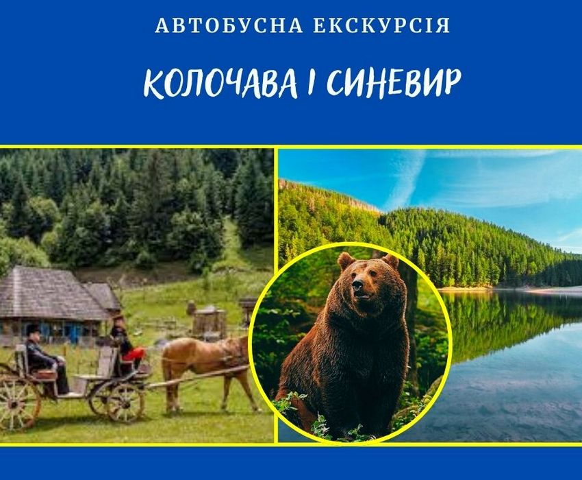 Одноденна екскурсія: Колочава, озеро Синевір, бурі ведмеді та альпаки | Виїзд з Мукачева